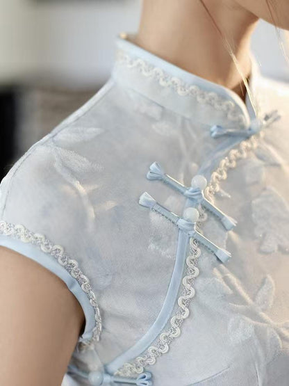 Women's Vintage Qipao Cheongsam Dress – Light Gray Maxi Fitted – additional product view